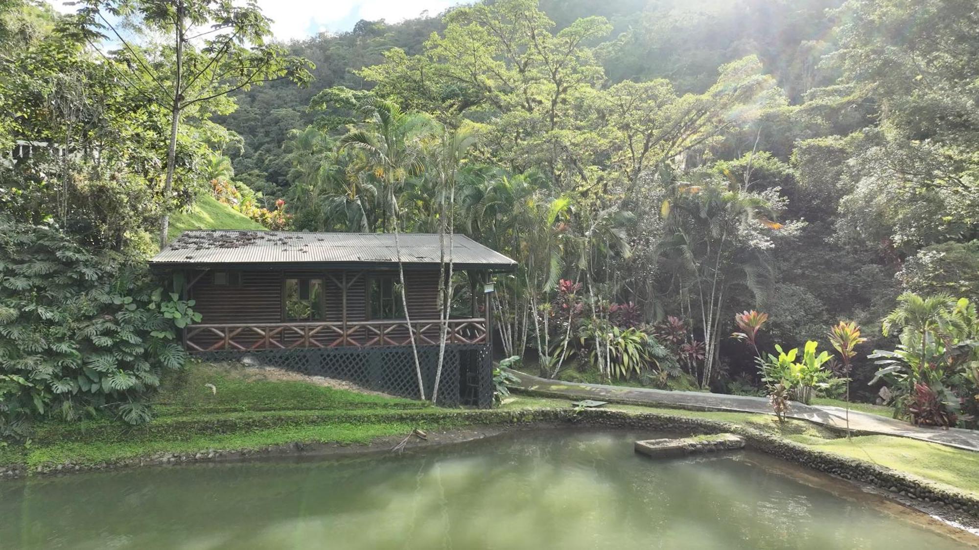 Rio Perlas Thermal Resort & Spa การ์ตาโก ภายนอก รูปภาพ